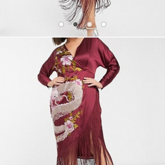 *ISO* ASOS Curve Embroidered Dress with Fringe - Picture 2 of 2